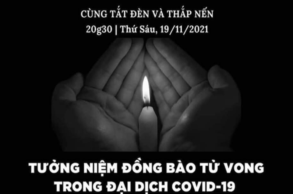 Blog Single