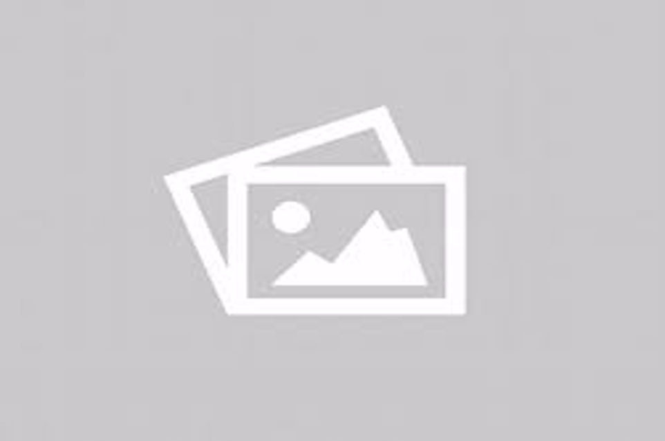 Blog Single