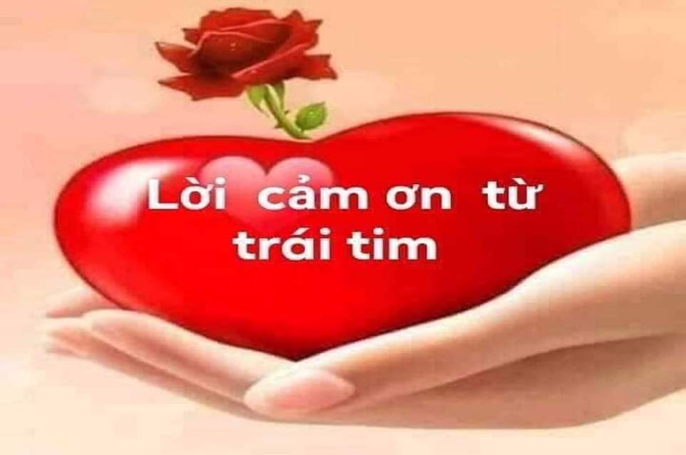Blog Single